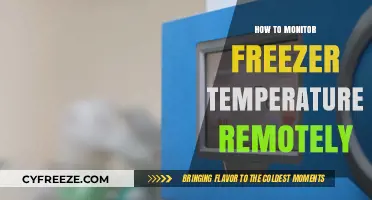 Monitor Freezer Temperature Remotely: Smart Solutions for Peace of Mind