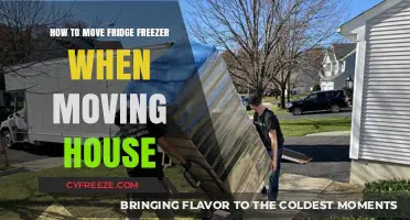 Efficiently Relocating Your Fridge Freezer During a House Move