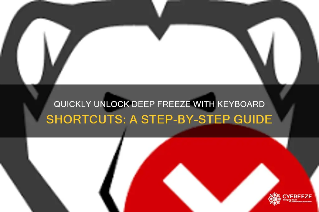 how to open deep freeze using keyboard