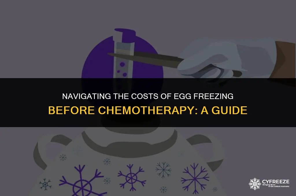 how to pay for freezing eggs chemo