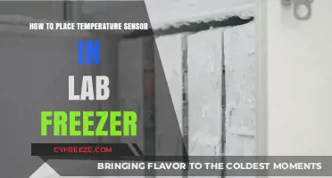 Optimal Placement Tips for Temperature Sensors in Lab Freezers