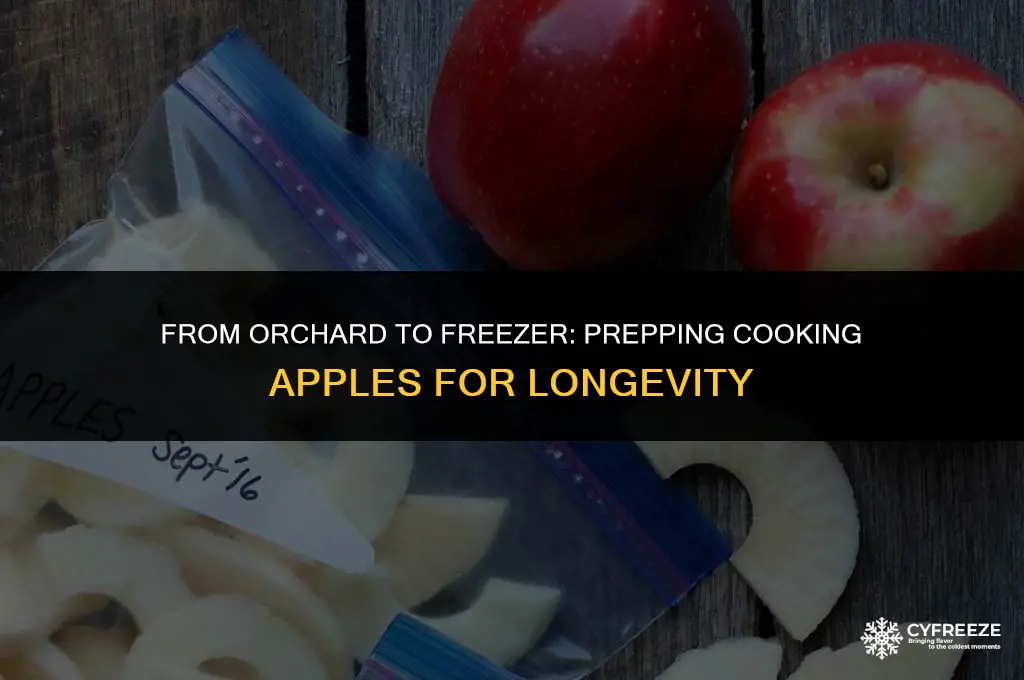 how to prepare cooking apples for freezing