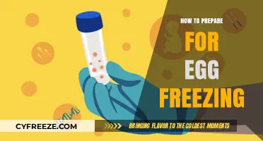 Preparing for Egg Freezing: A Comprehensive Guide to Your Fertility Journey