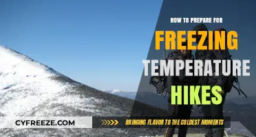 Mastering Winter Hikes: Essential Tips for Freezing Temperature Preparation