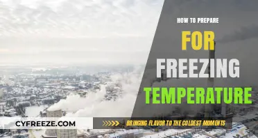Surviving Winter's Chill: Essential Tips for Freezing Temperature Preparation