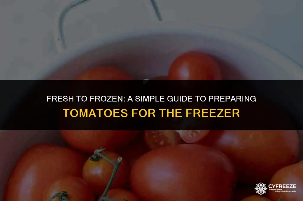 how to prepare fresh tomatoes for freezing