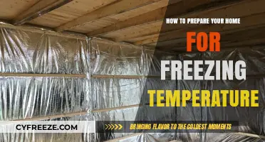 Winter-Proof Your Home: Essential Tips for Freezing Temperatures Ahead