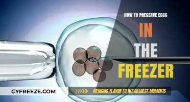 Egg-cellent Preservation: Freezing Eggs for Long-Term Storage