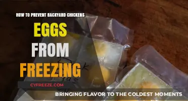Protect Your Flock's Harvest: Tips to Prevent Chicken Eggs from Freezing