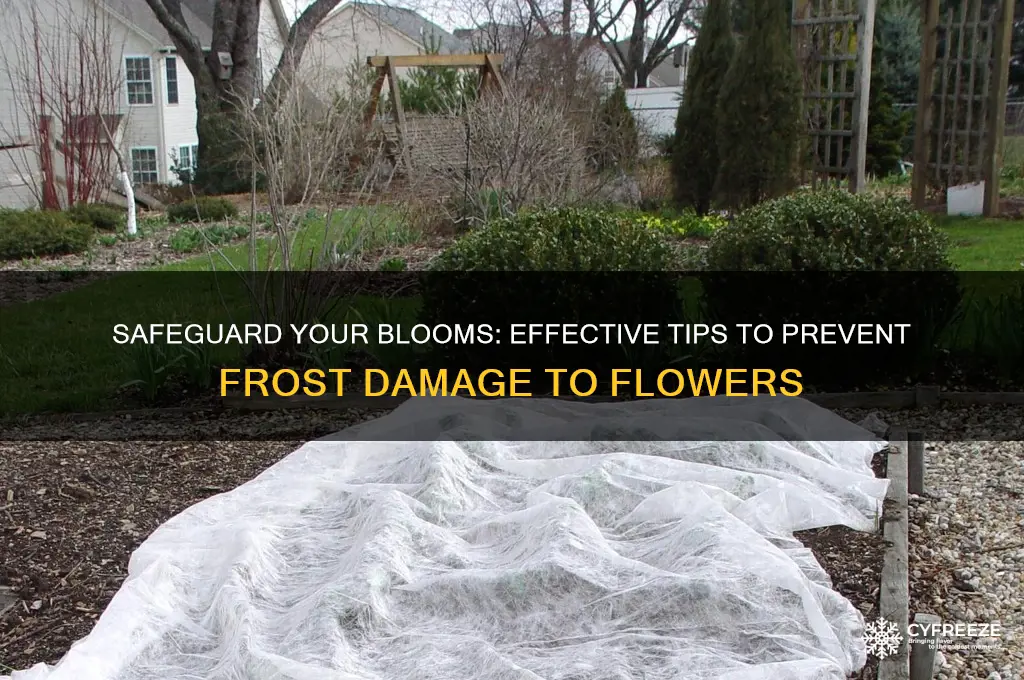 how to protect flowers from freezing temperatures