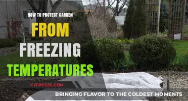 Protect Your Garden: Essential Tips to Beat Freezing Temperatures