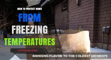 Winter-Proof Your Home: Essential Tips to Prevent Freezing Damage