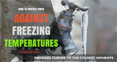 Prevent Frozen Pipes: Essential Tips for Winter Protection