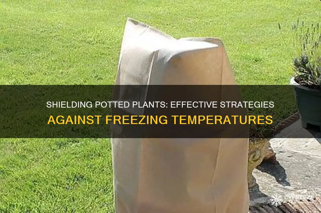 how to protect potted plants from freezing temperatures