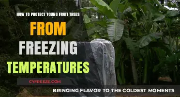Shielding Young Fruit Trees: Effective Strategies Against Freezing Temperatures
