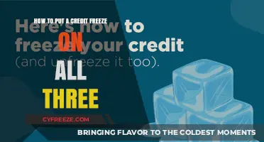 Securing Your Credit: A Step-by-Step Guide to Freezing All Three Reports