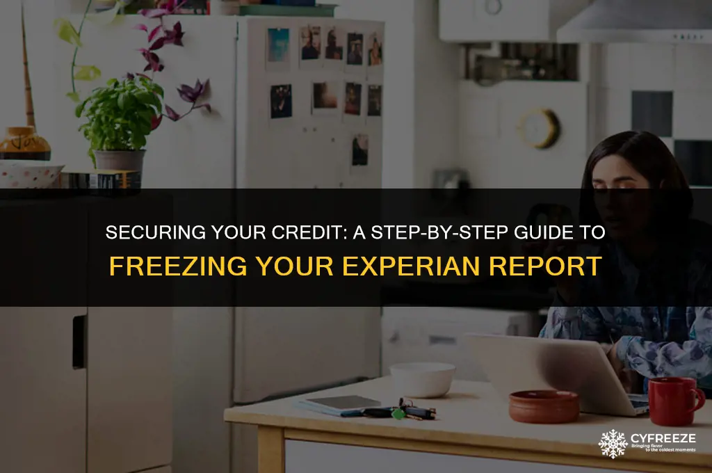 how to put a credit freeze on experian