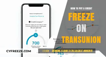 Securing Your Credit: A Step-by-Step Guide to Freezing Your TransUnion Report