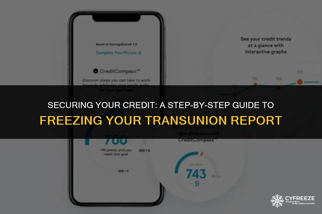 how to put a credit freeze on transunion