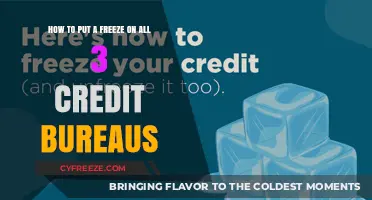 Safeguard Your Credit: A Step-by-Step Guide to Freezing All Three Bureaus