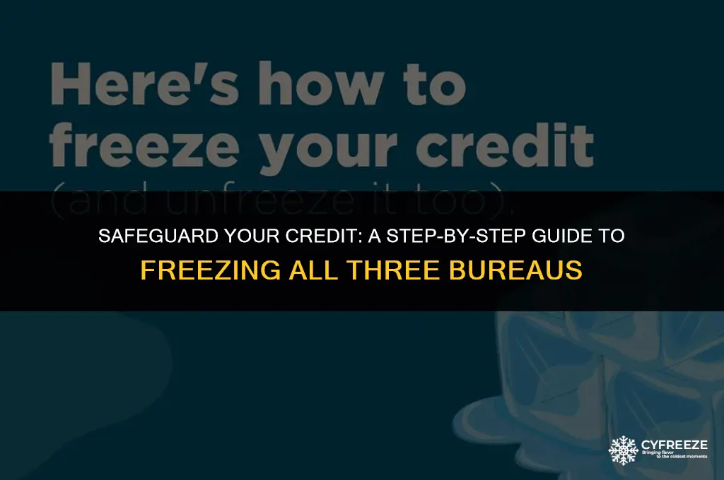 how to put a freeze on all 3 credit bureaus