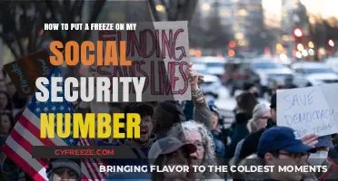 Safeguard Your Identity: How to Freeze Your Social Security Number