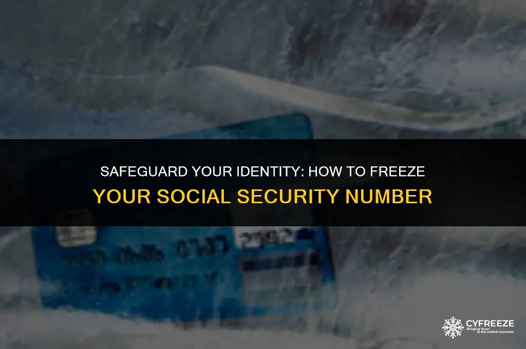 how to put a freeze on my social security number