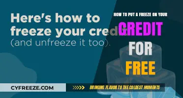 Safeguard Your Credit: A Step-by-Step Guide to Freezing Your Credit Report
