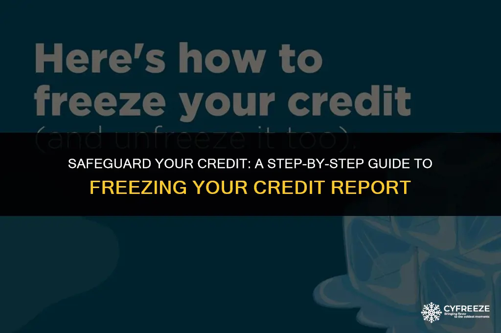 how to put a freeze on your credit for free