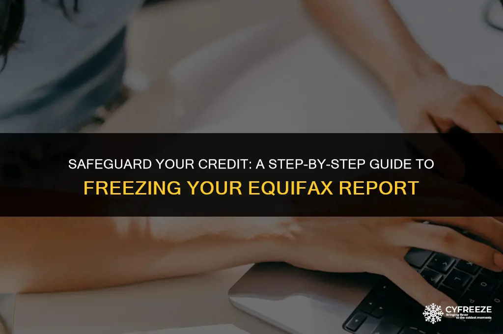 how to put a security freeze on equifax