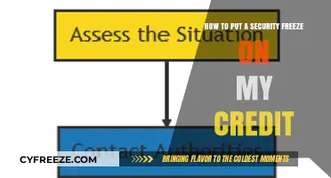 Safeguard Your Credit: A Step-by-Step Guide to Security Freezes