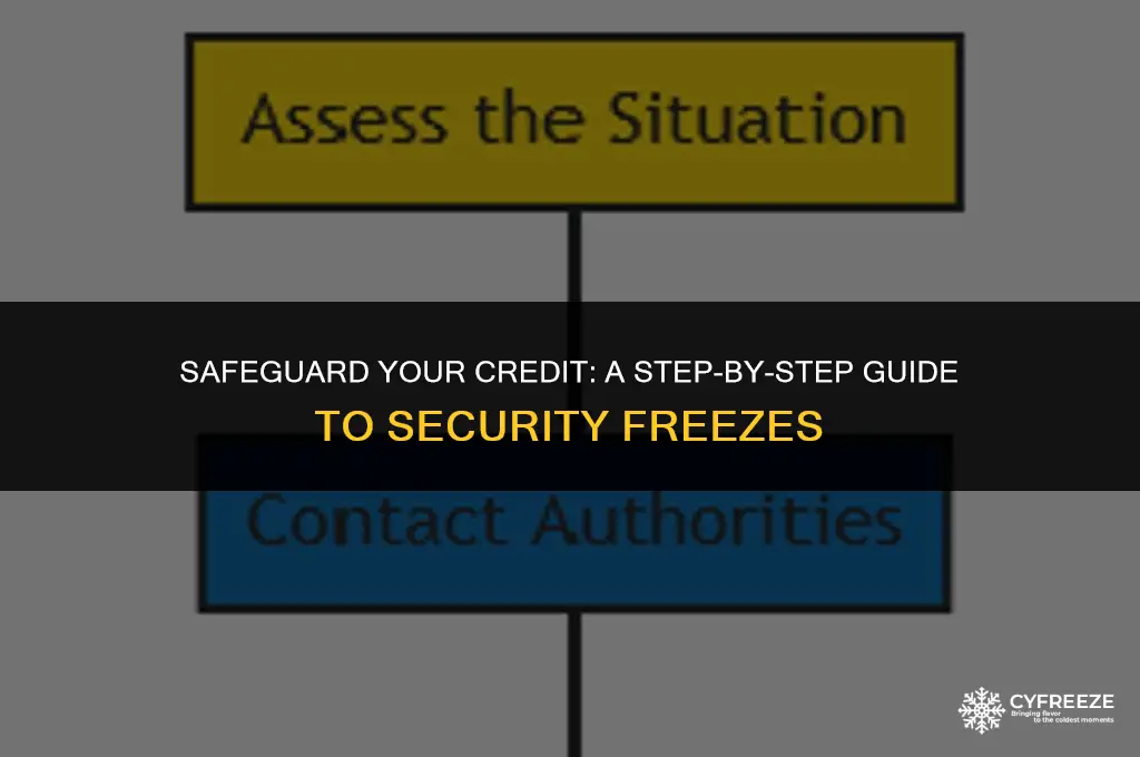 how to put a security freeze on my credit
