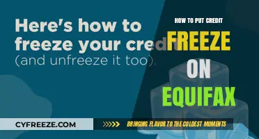 Securing Your Credit: A Step-by-Step Guide to Freezing Your Equifax Report
