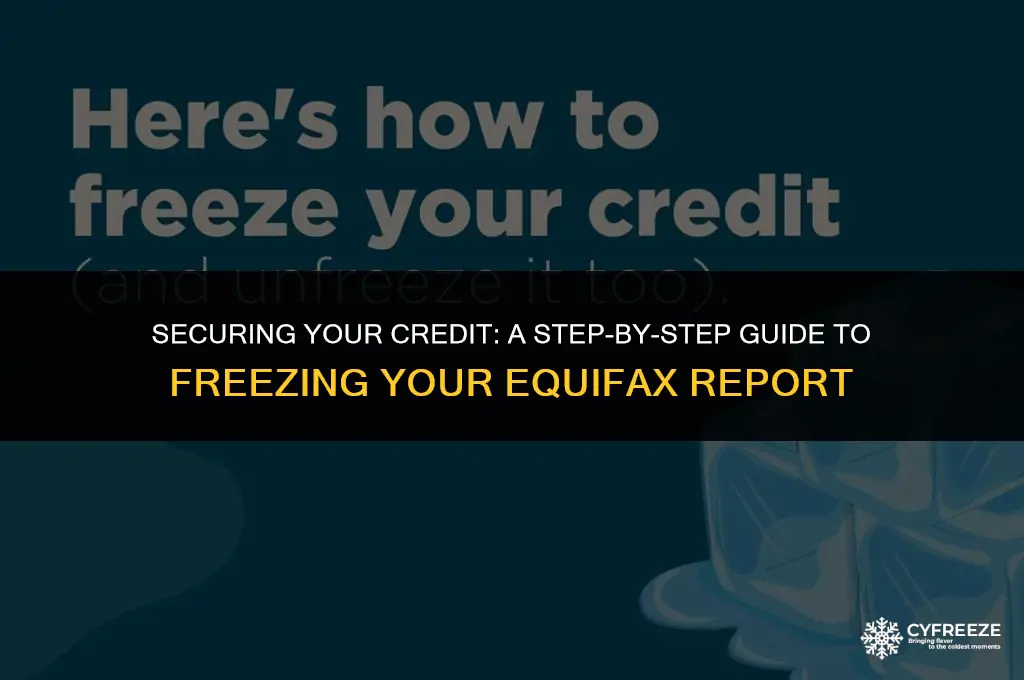 how to put credit freeze on equifax