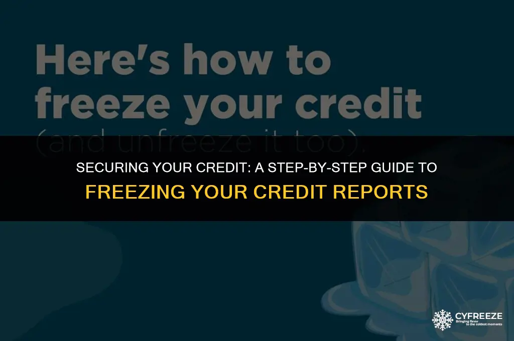 how to put credit freeze
