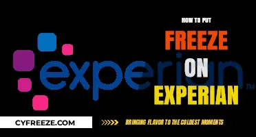 Safeguard Your Credit: A Step-by-Step Guide to Freezing Your Experian Report