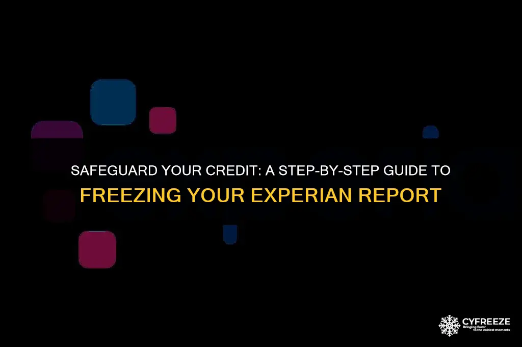 how to put freeze on experian