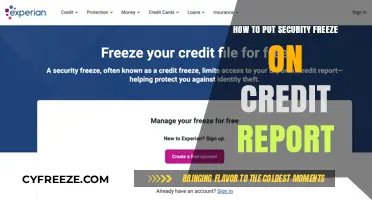 Safeguard Your Credit: A Step-by-Step Guide to Security Freezes