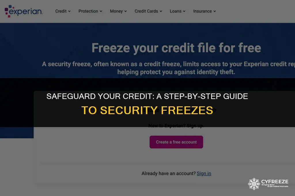 how to put security freeze on credit report