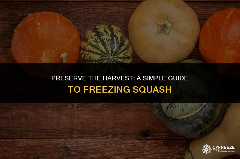 how to put up squash in the freezer