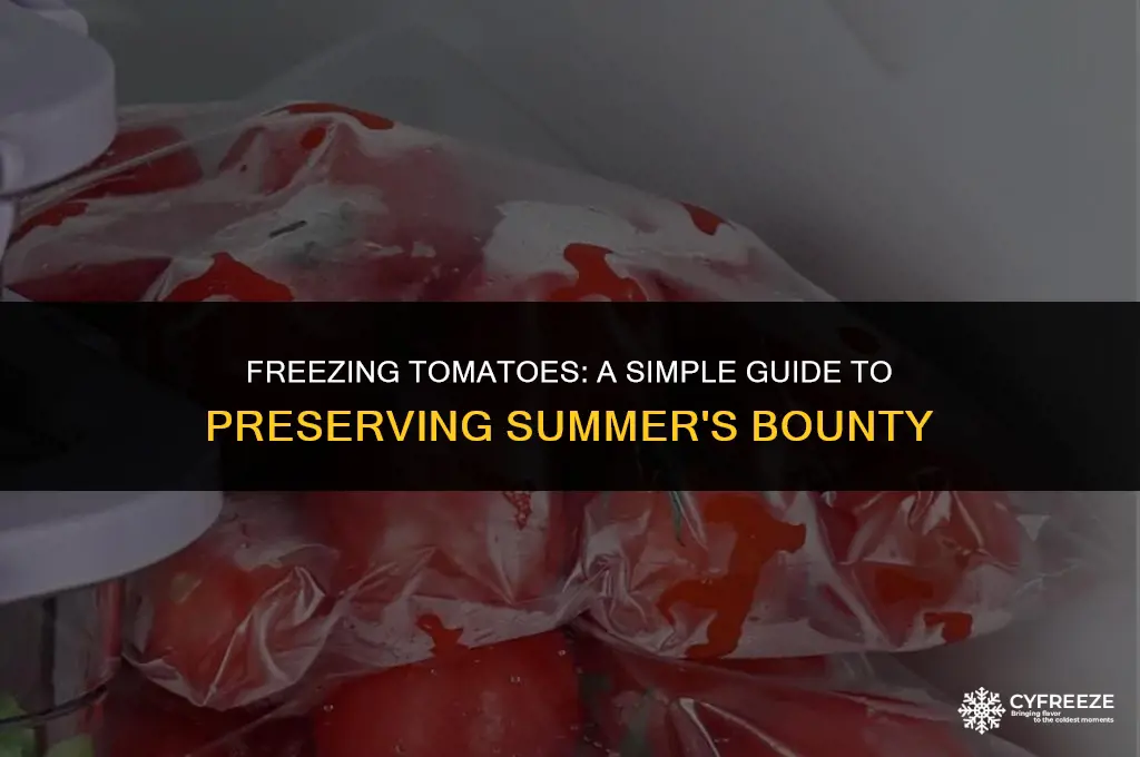 how to put up tomatoes in freezer bags
