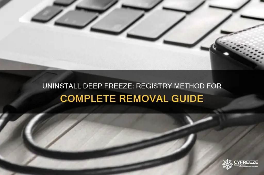 how to remove deep freeze using registry