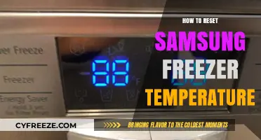 Quick Guide to Resetting Your Samsung Freezer Temperature Settings