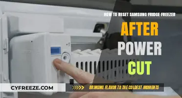 Reviving Your Samsung Fridge Freezer Post-Power Cut: A Simple Guide