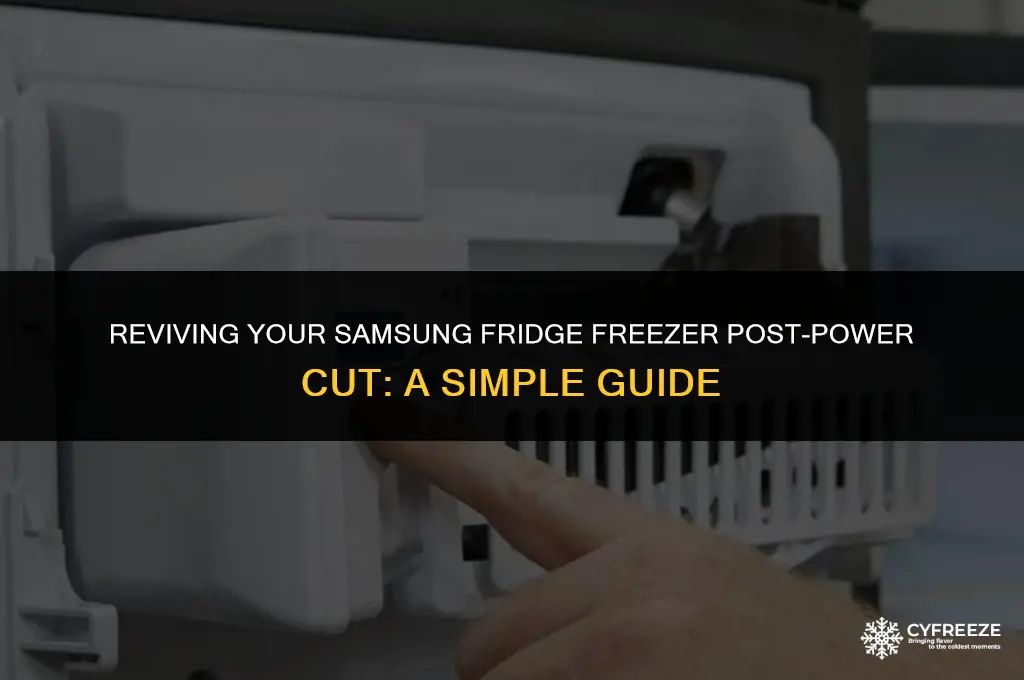 how to reset samsung fridge freezer after power cut