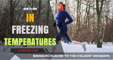 Master Winter Running: Tips for Freezing Temperatures and Cold Weather