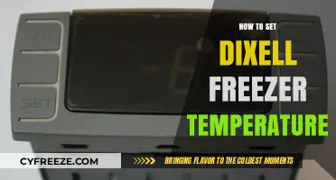 Mastering Dixell Freezer Settings: A Guide to Optimal Temperature Control