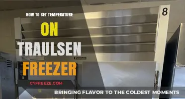 Mastering Your Traulsen Freezer: A Guide to Setting the Ideal Temperature