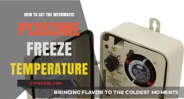 Mastering Winter: Setting Your Intermatic P1353ME Freeze Temperature Safely
