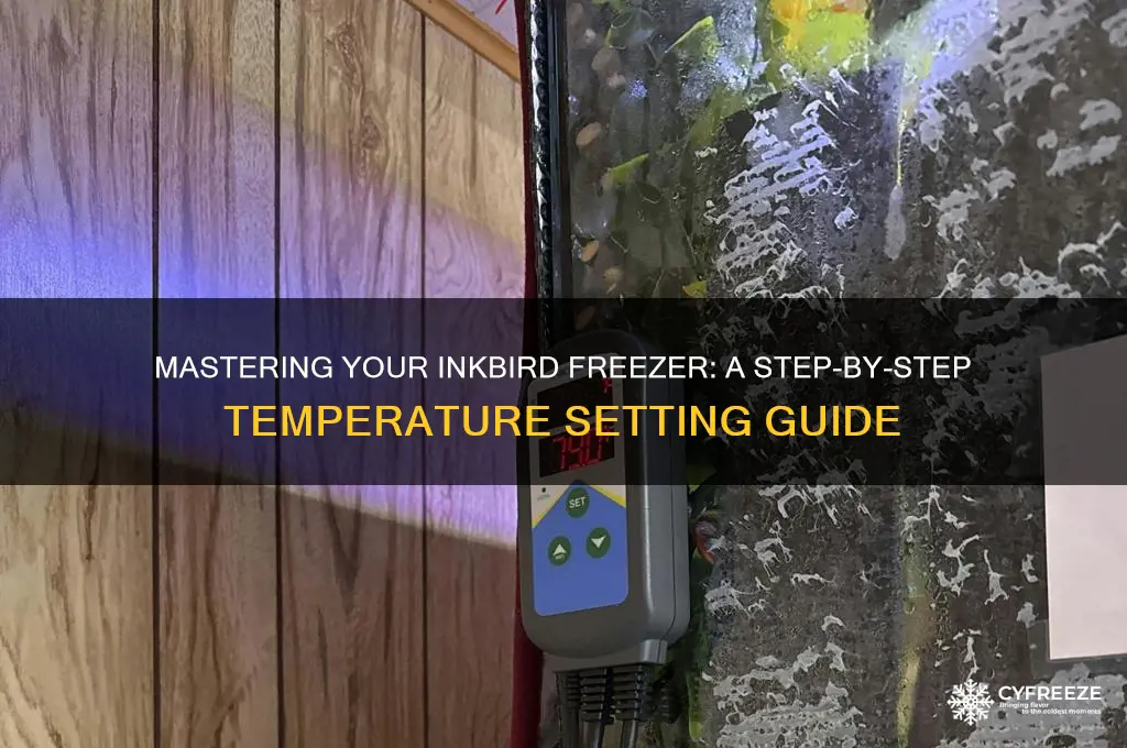 how to set the temperature on a inkbird freezer